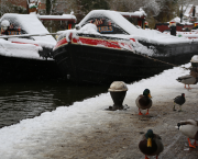 Historic canals championed as solutions to UK’s modern challenges