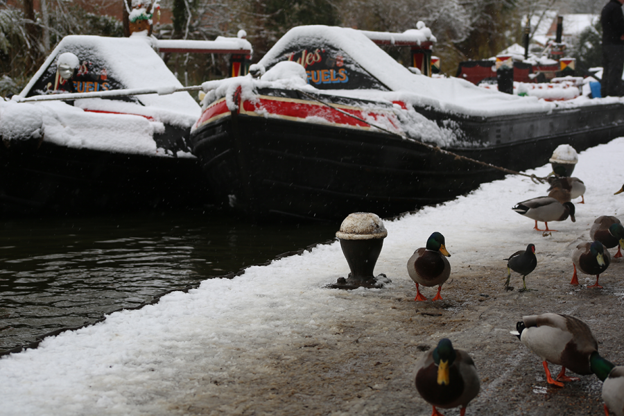 Historic canals championed as solutions to UK’s modern challenges