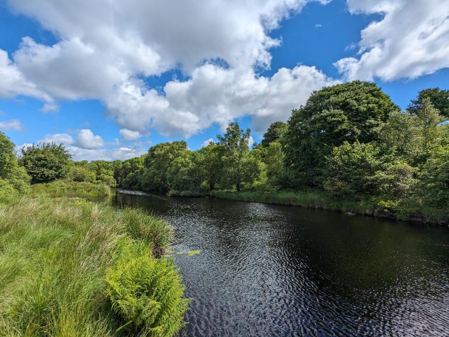 Water Testing Campaign Finds 75% Of Rivers In Poor Ecological Health