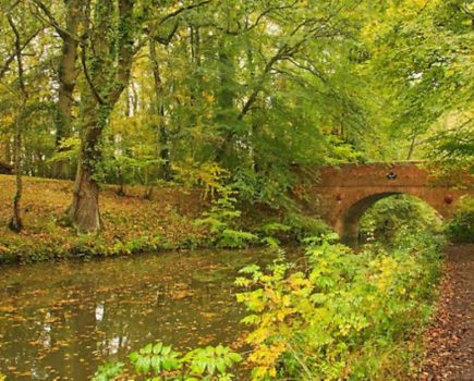 Basingstoke Canal ‘too costly’ to be transferred to CRT