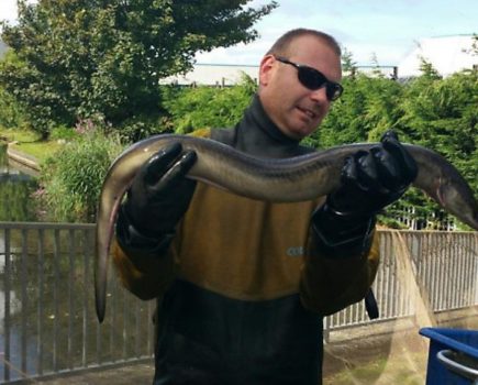 Rare eel discovered in Birmingham Canal