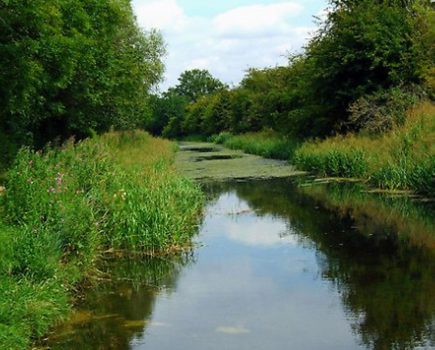 Pop to the Pocklington for restoration launch on 17 November