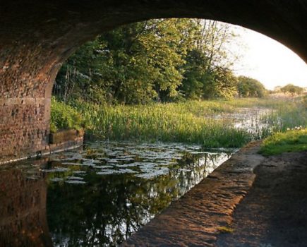 Dredging project on the Pocklington to protect rare aquatic plants